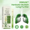 ODEIUN™ HerbaAir Mullein Lung Purifier