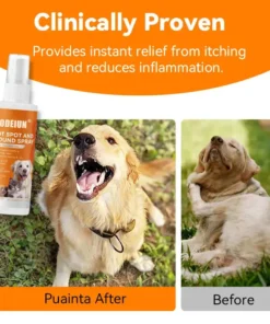 ODEIUN® Quantum Silver Pet Skin Spray for Dogs and Cats