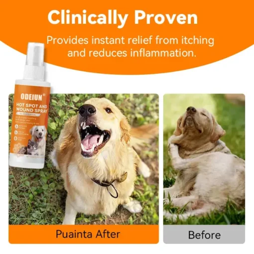 ODEIUN® Quantum Silver Pet Skin Spray for Dogs and Cats